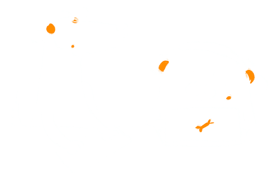 Business Cloud, IT, Broadband