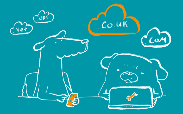 Types of Domain Names