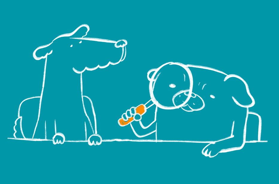 Search Engine Optimisation