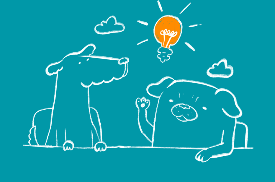 Database and Website Solutions for Busineses